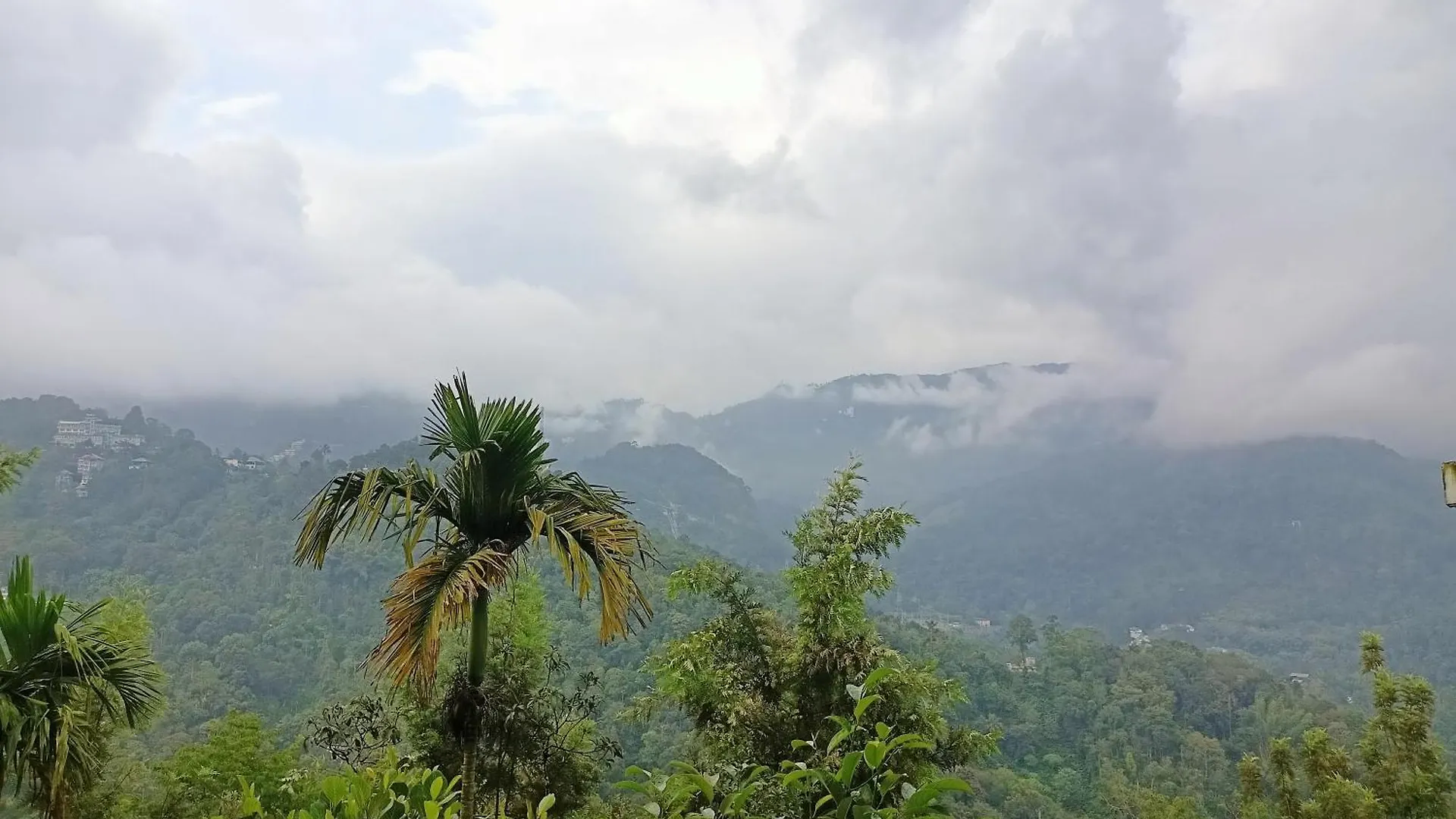 Silver Munnar India